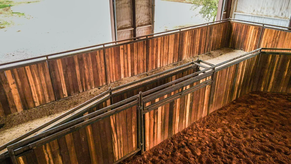 Metal livestock pen with corrugated panels, steel framing, and divided interior gates on prepared ground