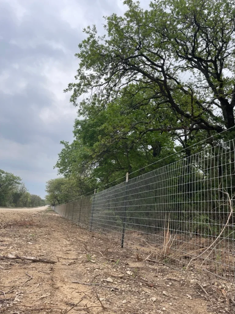 Welded wire ranch fence with metal posts installed along cleared property with mature trees