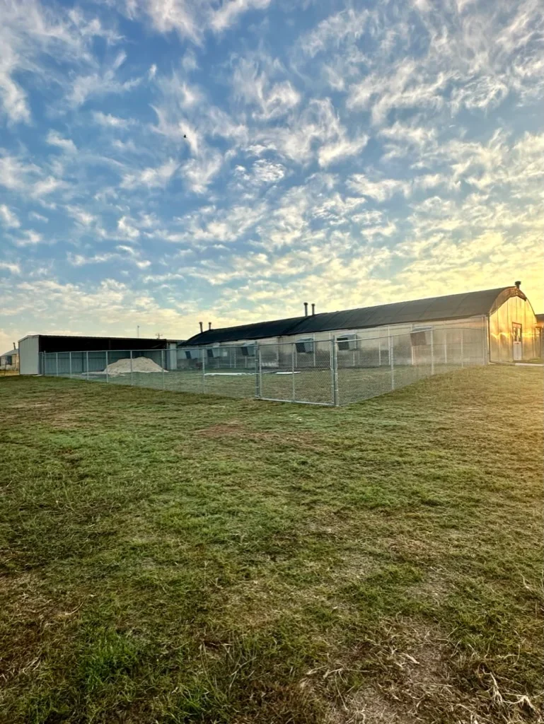 Galvanized metal pipe fence installation around agricultural buildings and pasture
