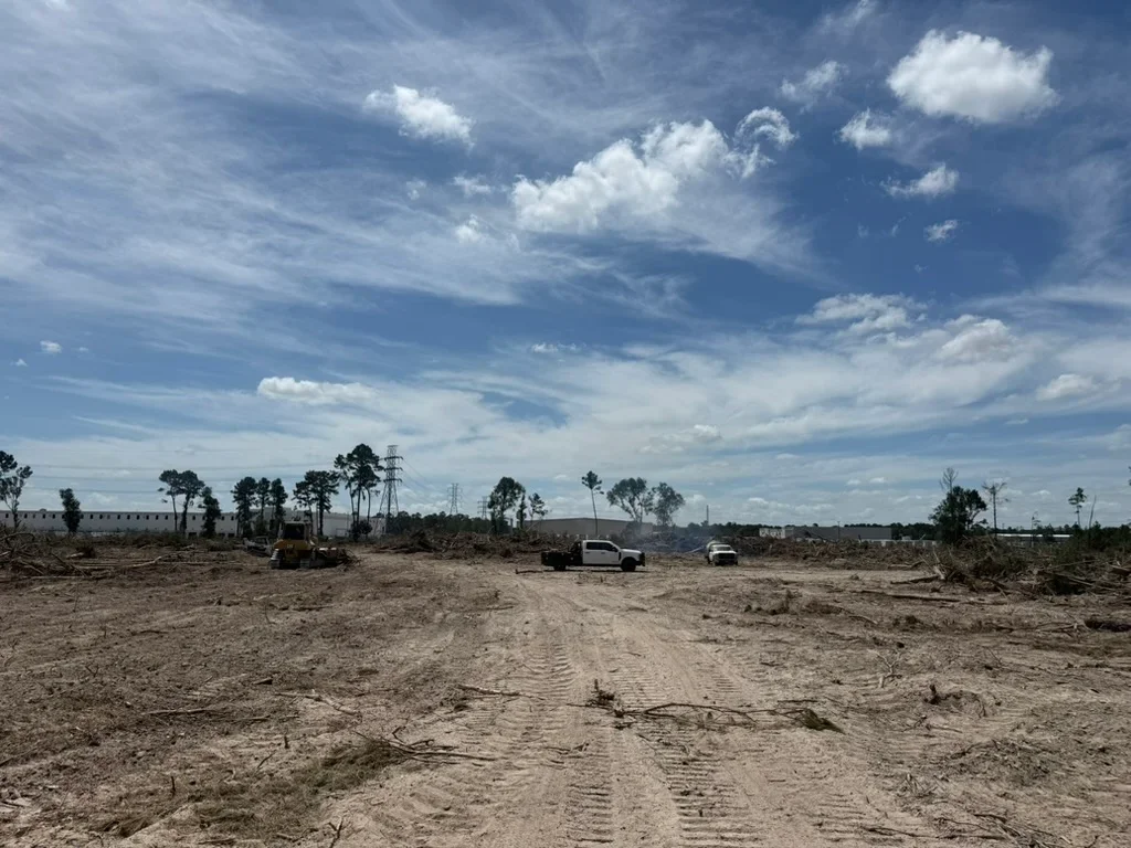Cleared land with graded soil, tree stumps, and excavation equipment on bare ground
