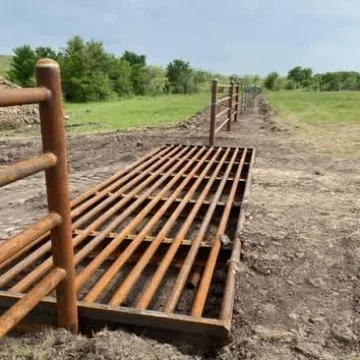 Wooden cattle loading ramp with horizontal slats and timber frame on prepared ground