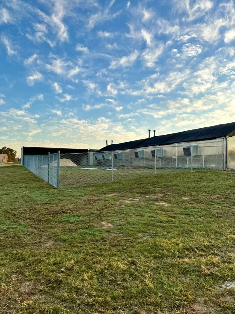 Galvanized chain link fence with metal posts and framework installed on grass field