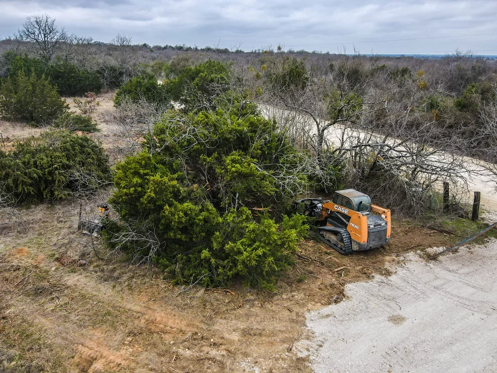 Tracked skid steer loader clearing dense brush and cedar vegetation from rural land